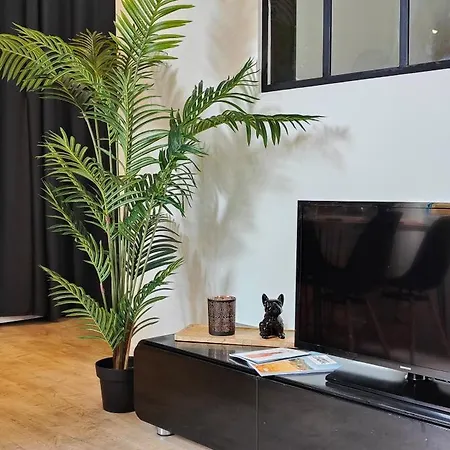 Appartamento Le Pit-stop - Wifi - Parking Albi