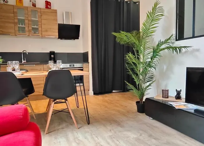 Appartement Le Pit-stop - Wifi - Parking Albi