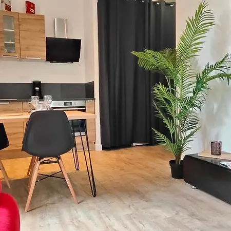 Apartment Le Pit-stop - Wifi - Parking Albi